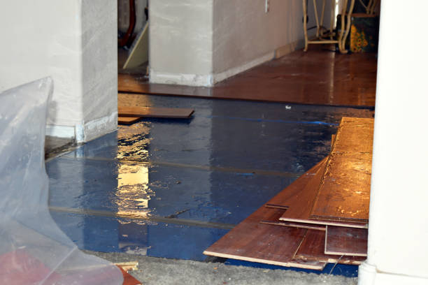 Professional Basement Flood Cleanup technician working in Cadiz, OH